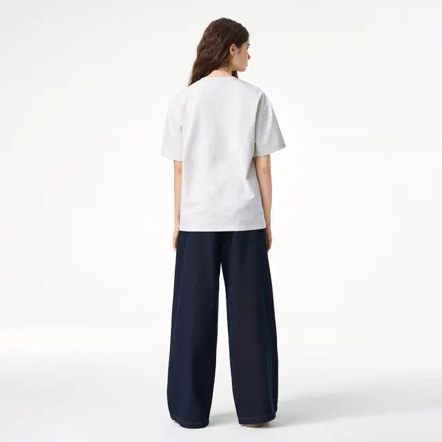 ICONS Lab ICS T