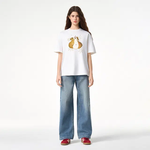 ICONS Lab ICS T