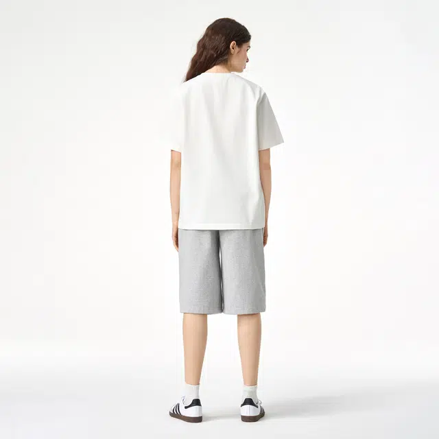 ICONS Lab ICS T