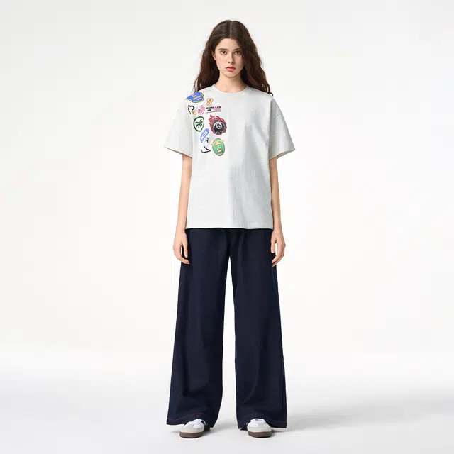ICONS Lab ICS T
