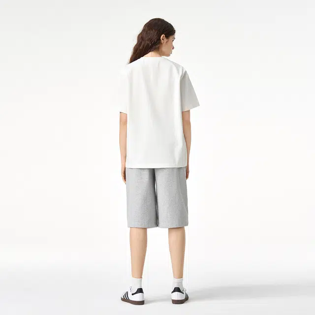 ICONS Lab ICS T