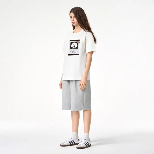 ICONS Lab ICS T