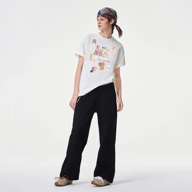 ICONS Lab ICS T
