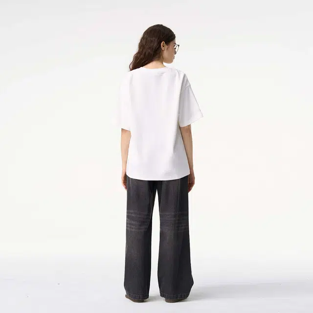 ICONS Lab ICS T