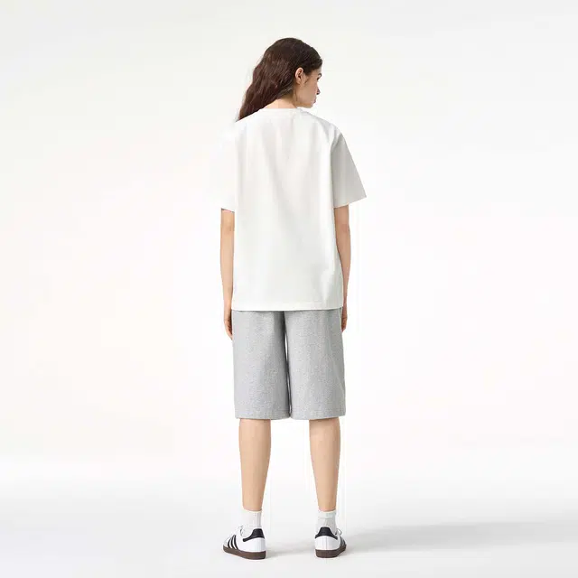 ICONS Lab ICS T