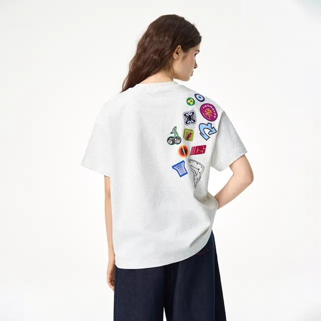 ICONS Lab ICS T