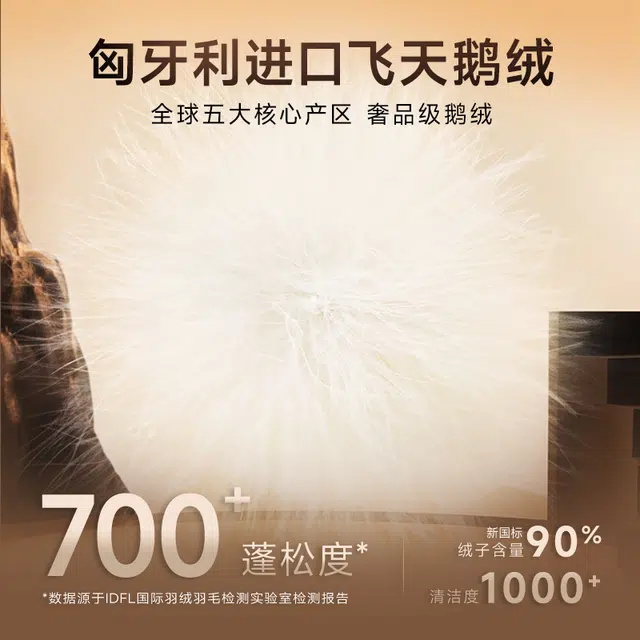高梵 时尚柔软亲肤洋气百搭保暖轻盈羽绒服 青少年