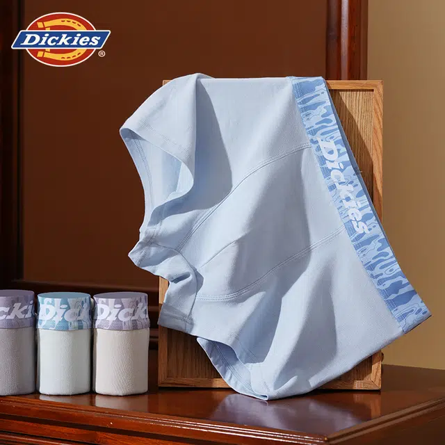 Dickies 3