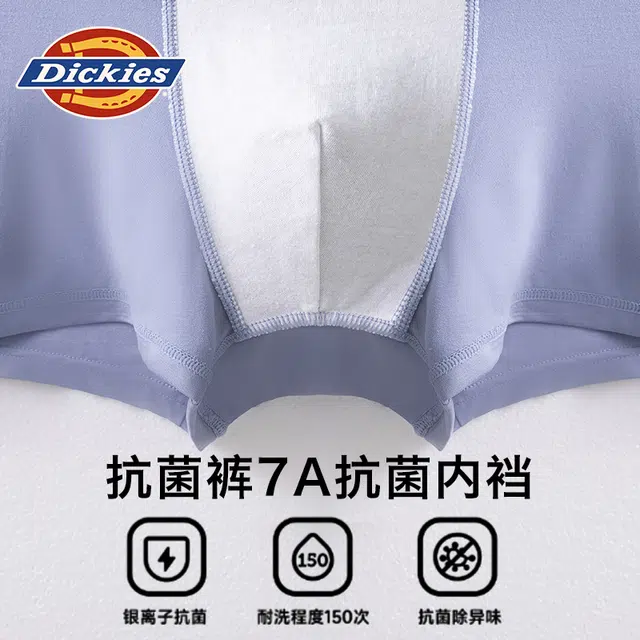 Dickies 3