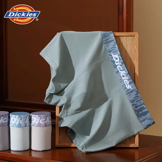 Dickies 3