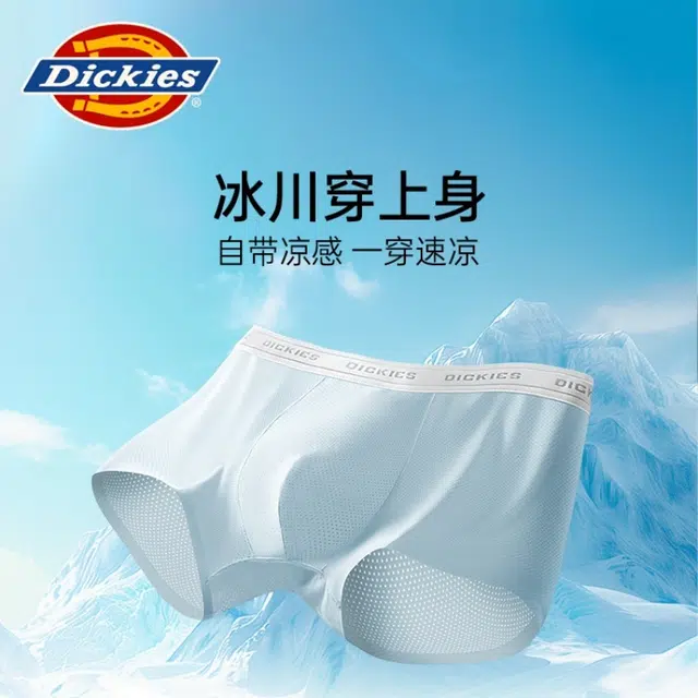 Dickies 3