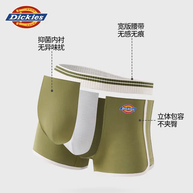 Dickies 10A