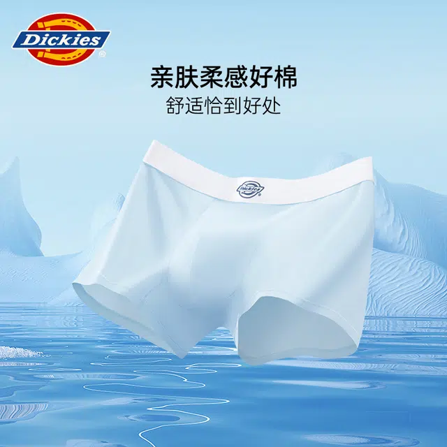 Dickies