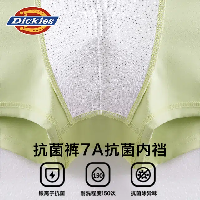 Dickies 3