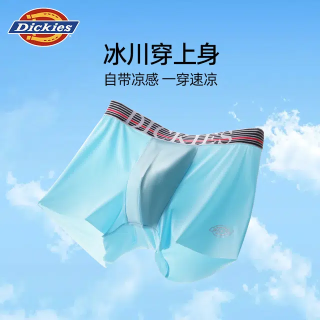 Dickies
