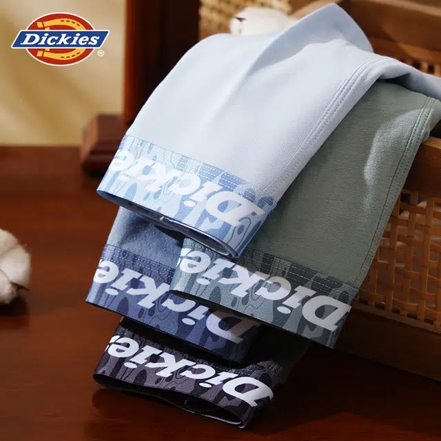 Dickies 3