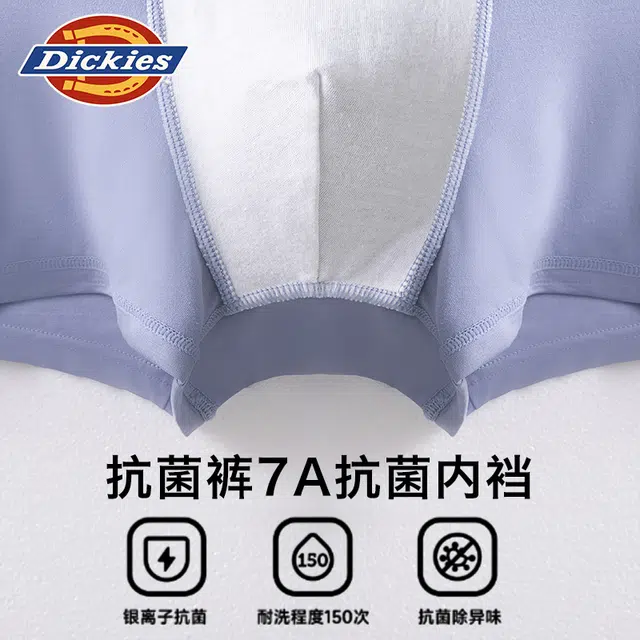 Dickies 3