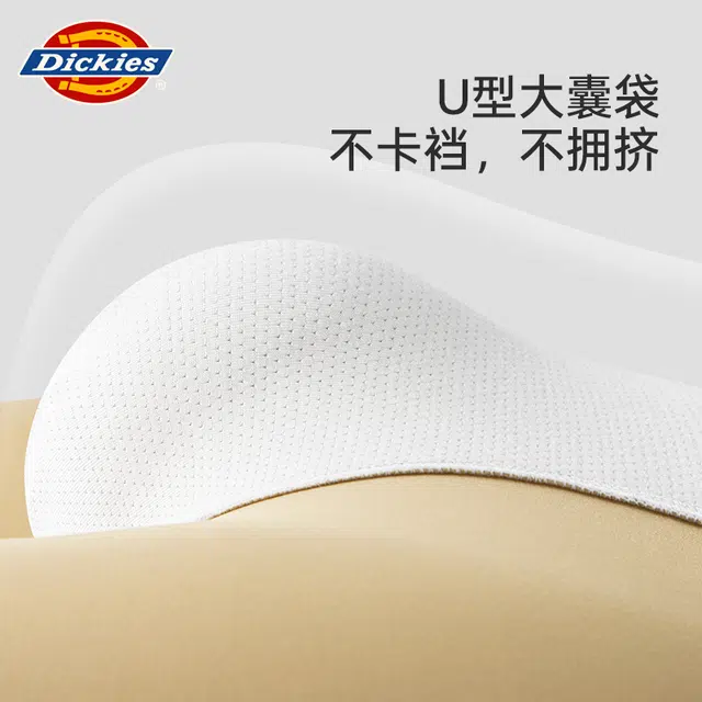 Dickies 3