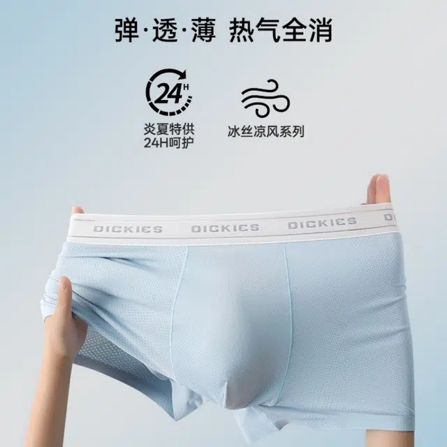 Dickies 3