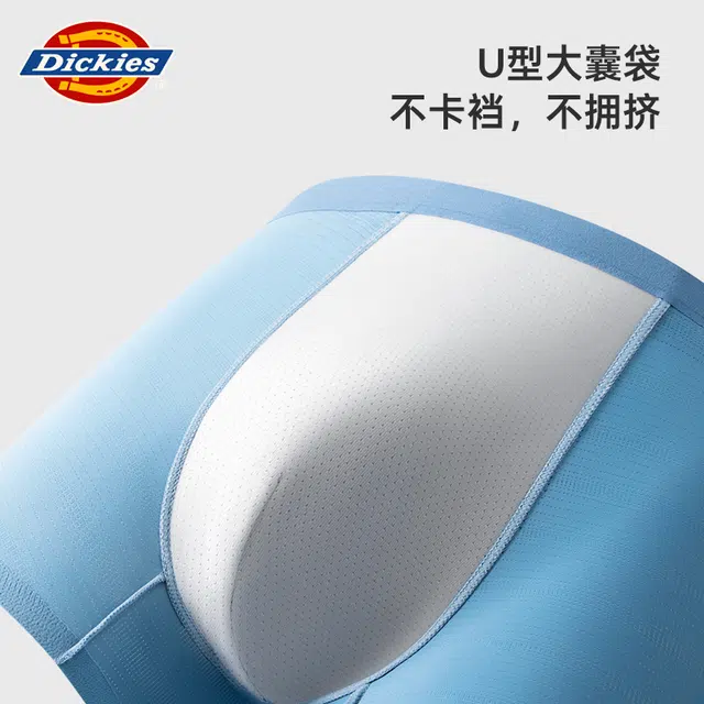Dickies