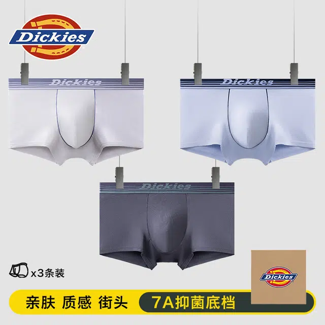 Dickies 3
