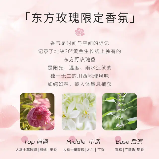 50ml50ml*250ml*5
