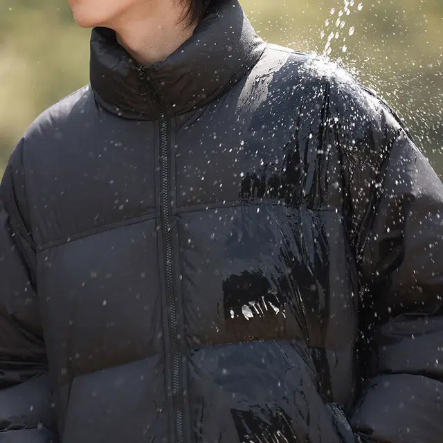 SNOW FLYING