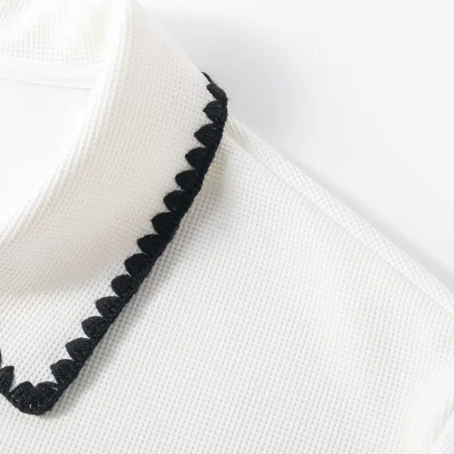 logoPolo