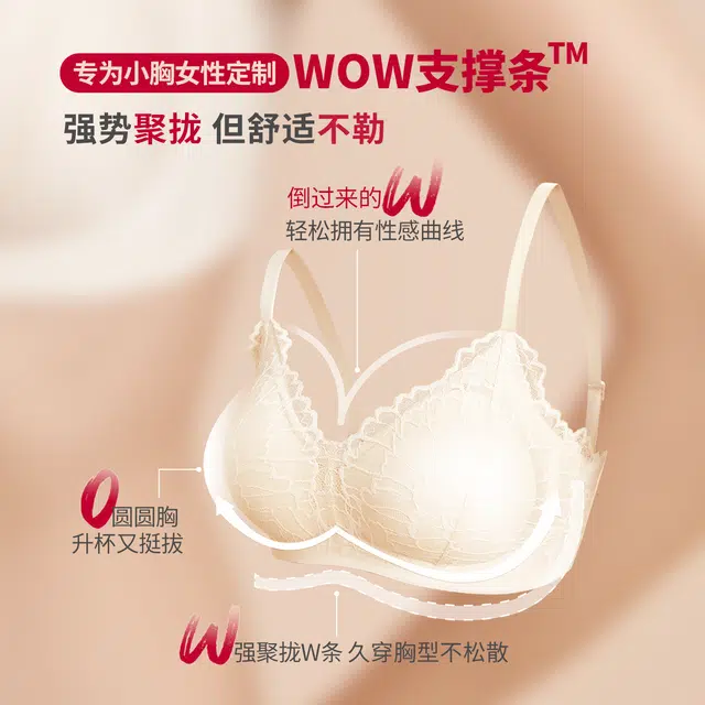 本质心创 蕾丝小胸显大聚拢收副乳无钢圈文胸 女款