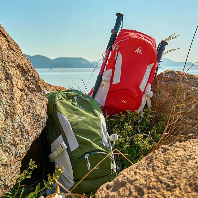 AIONE25L