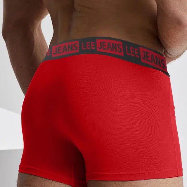 Lee 4