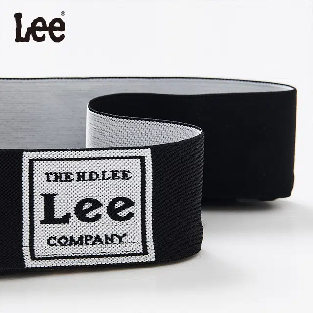 Lee 1