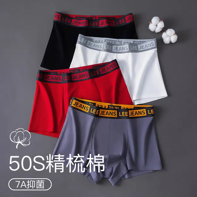 Lee 3.0 10A 4