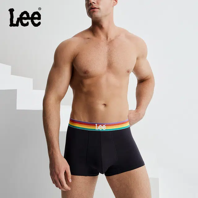 Lee logo 4