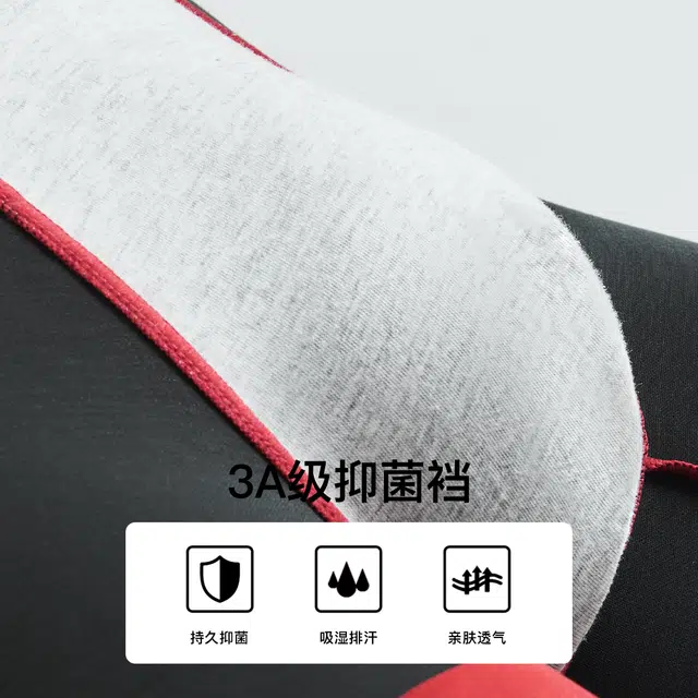 Lee 3