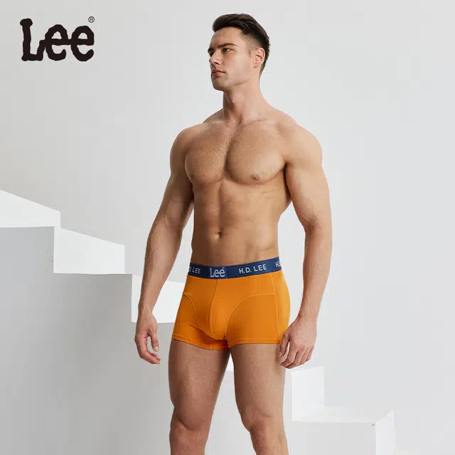 Lee 4.0 2