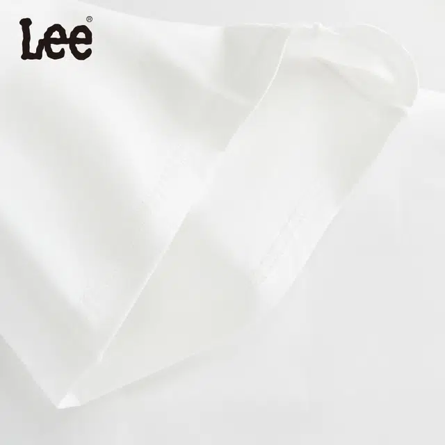 Lee 3.0 10A 5
