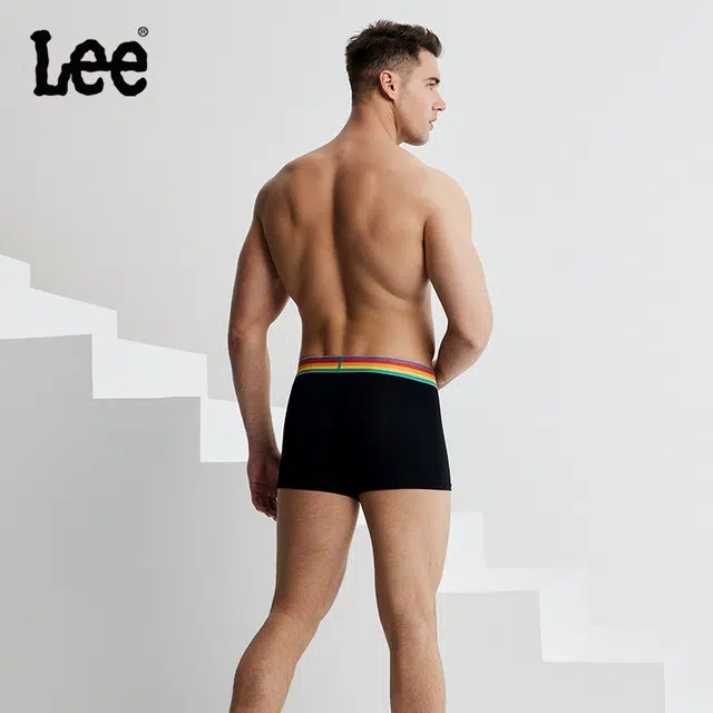 Lee logo 4