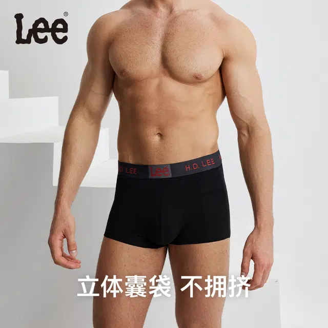 Lee 3.0 10A 4