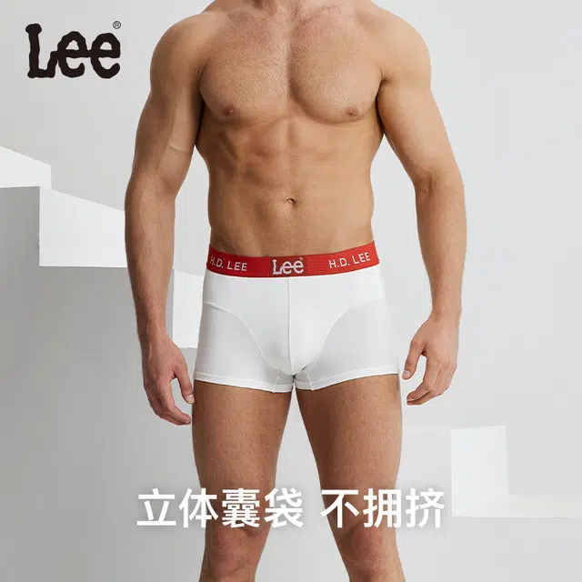 Lee 5.0 4