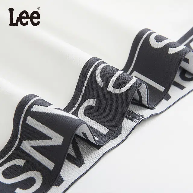 Lee 4