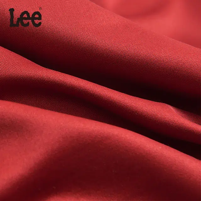 Lee 3