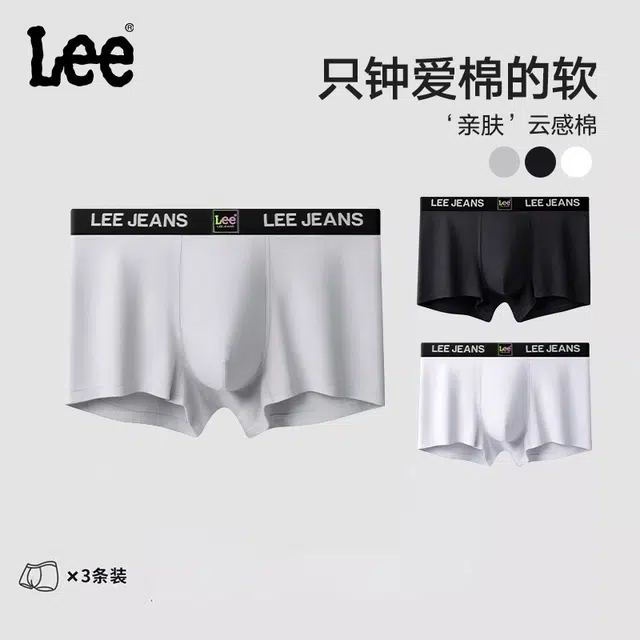 Lee 4