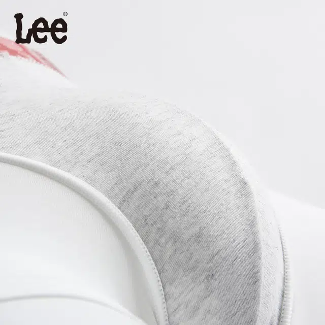 Lee 5