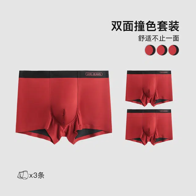 Lee 3
