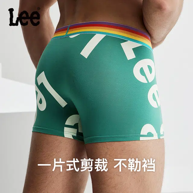 Lee logo 4