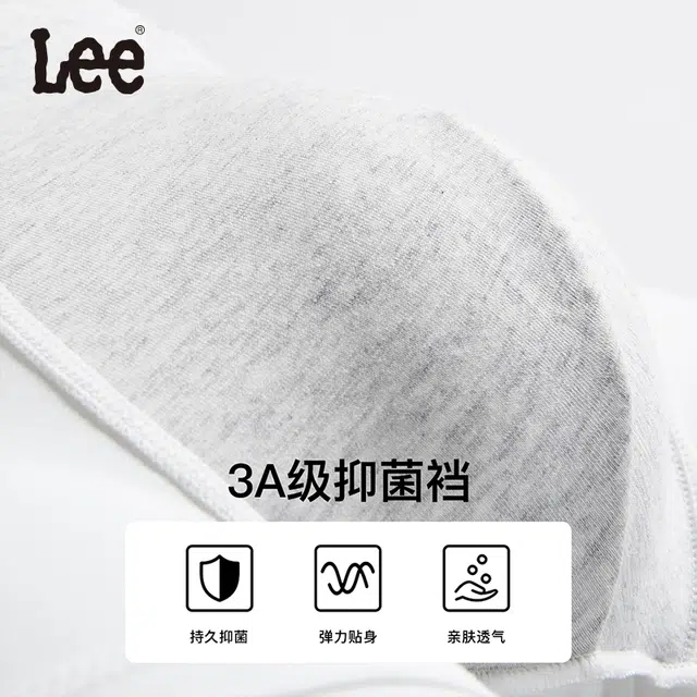 Lee 3