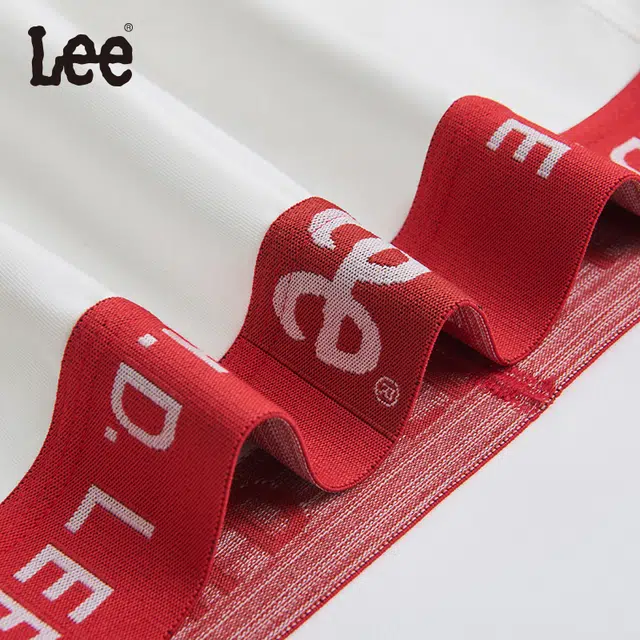 Lee 5