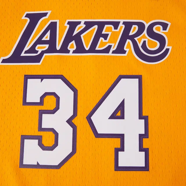 Mitchell Ness NBA SW 1999-00 34