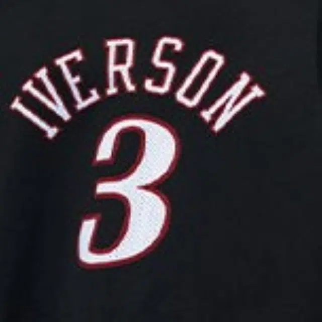 Mitchell Ness SW 76 3